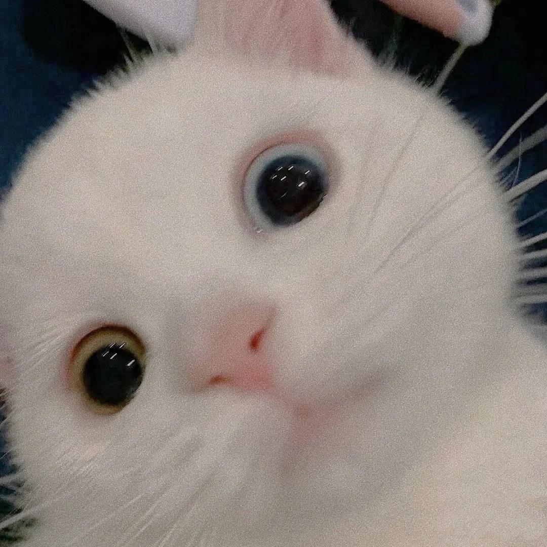 奥利弗儿