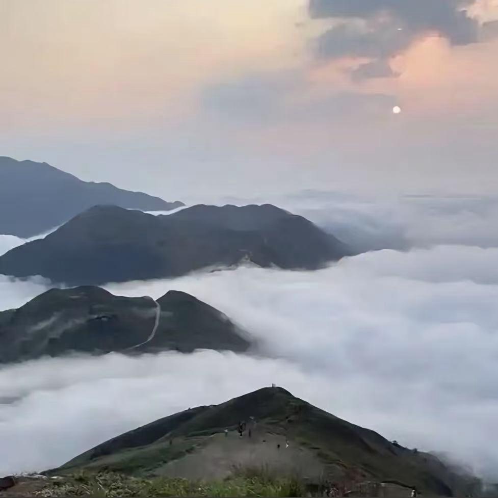 寻⛰️见🏝️