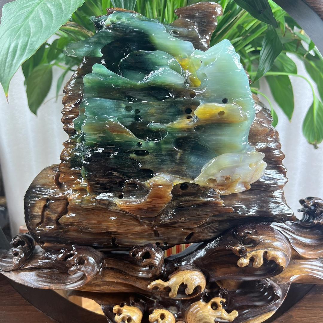 瑞丽市巨龙树化石店