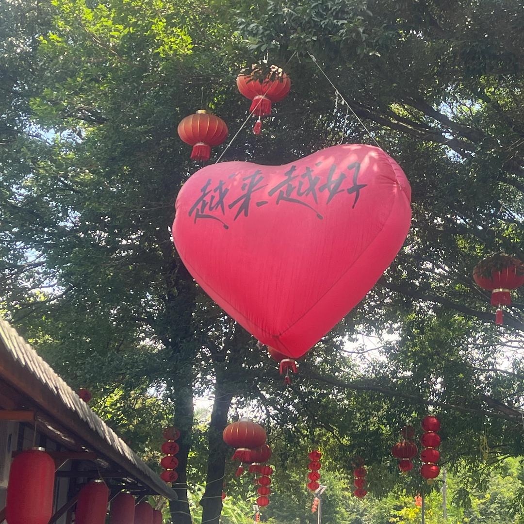 憧憬的鱼的头像