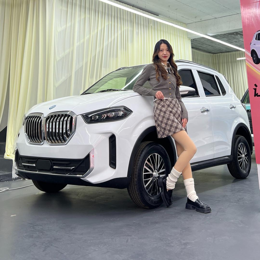 百姓新能源四轮车工厂