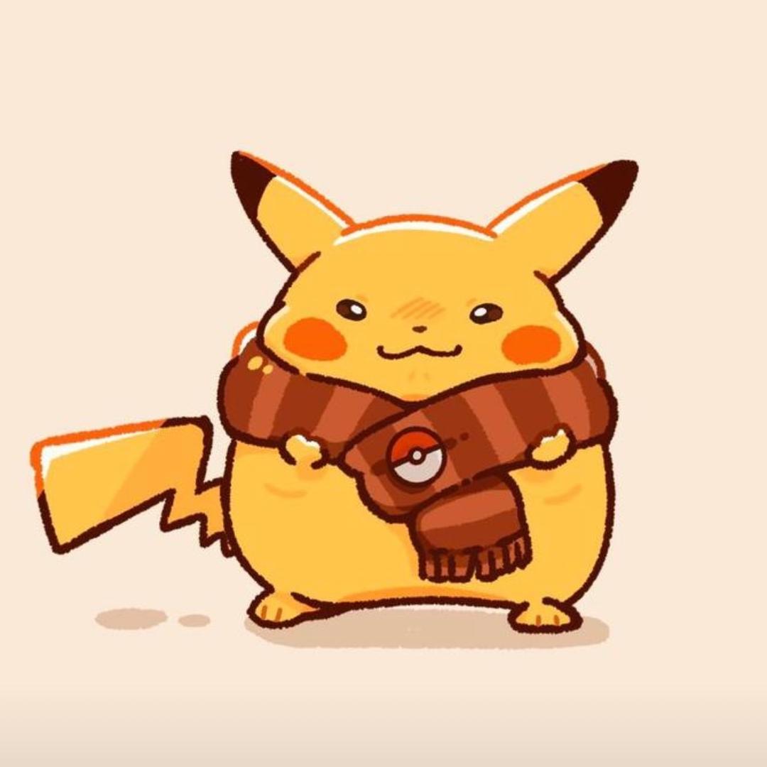 皮皮卡不丘