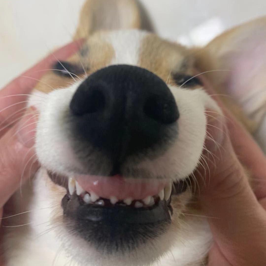 小忙