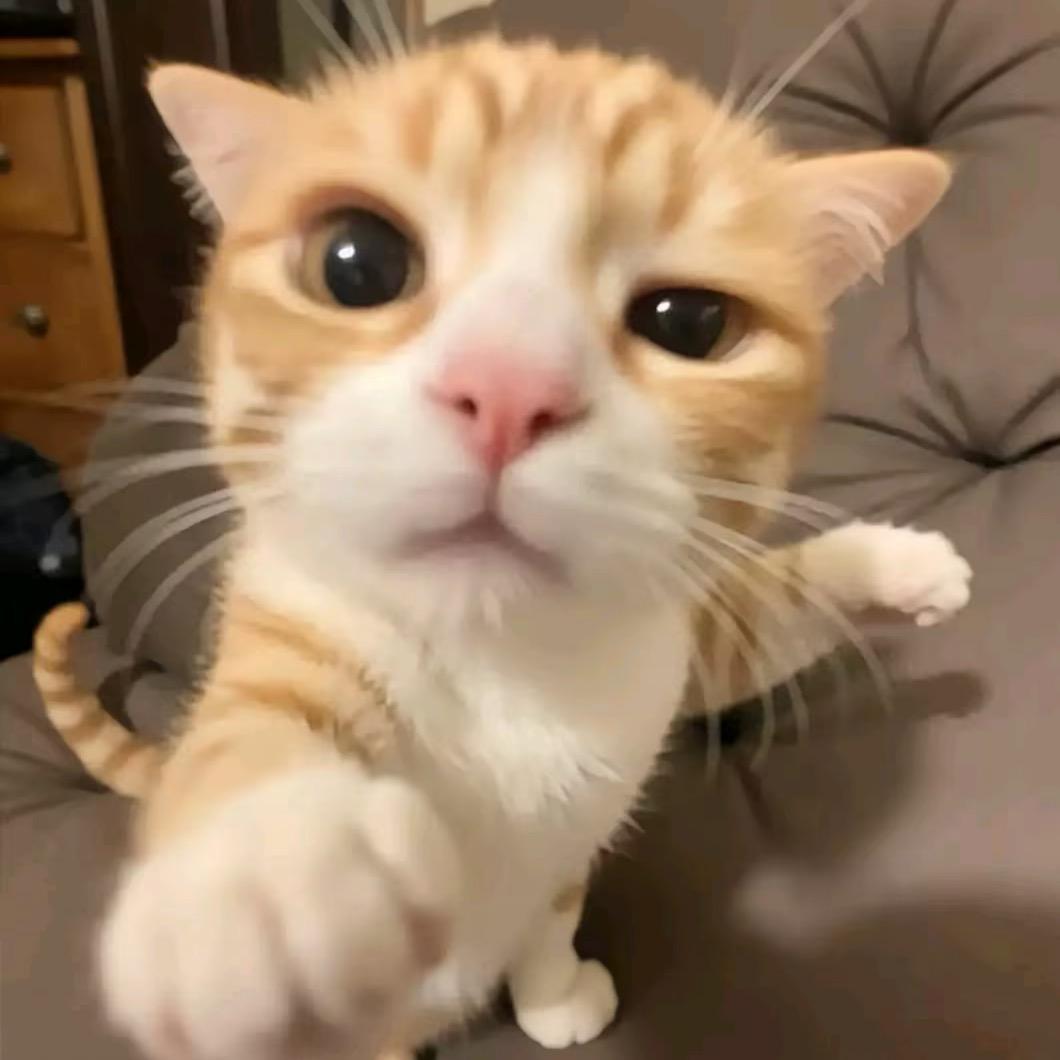 人．