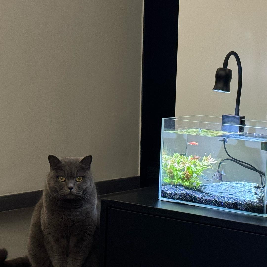 冰冰今天吃了吗