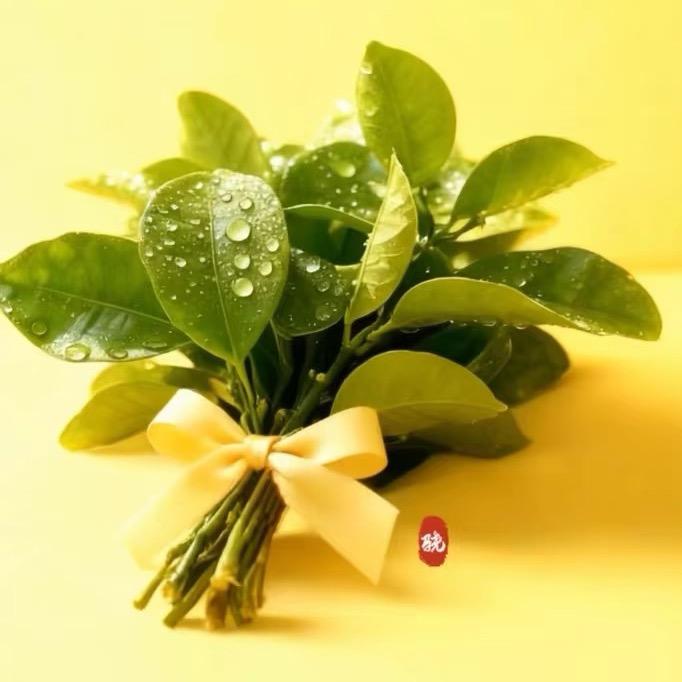 卡其沙🦢(约定版)