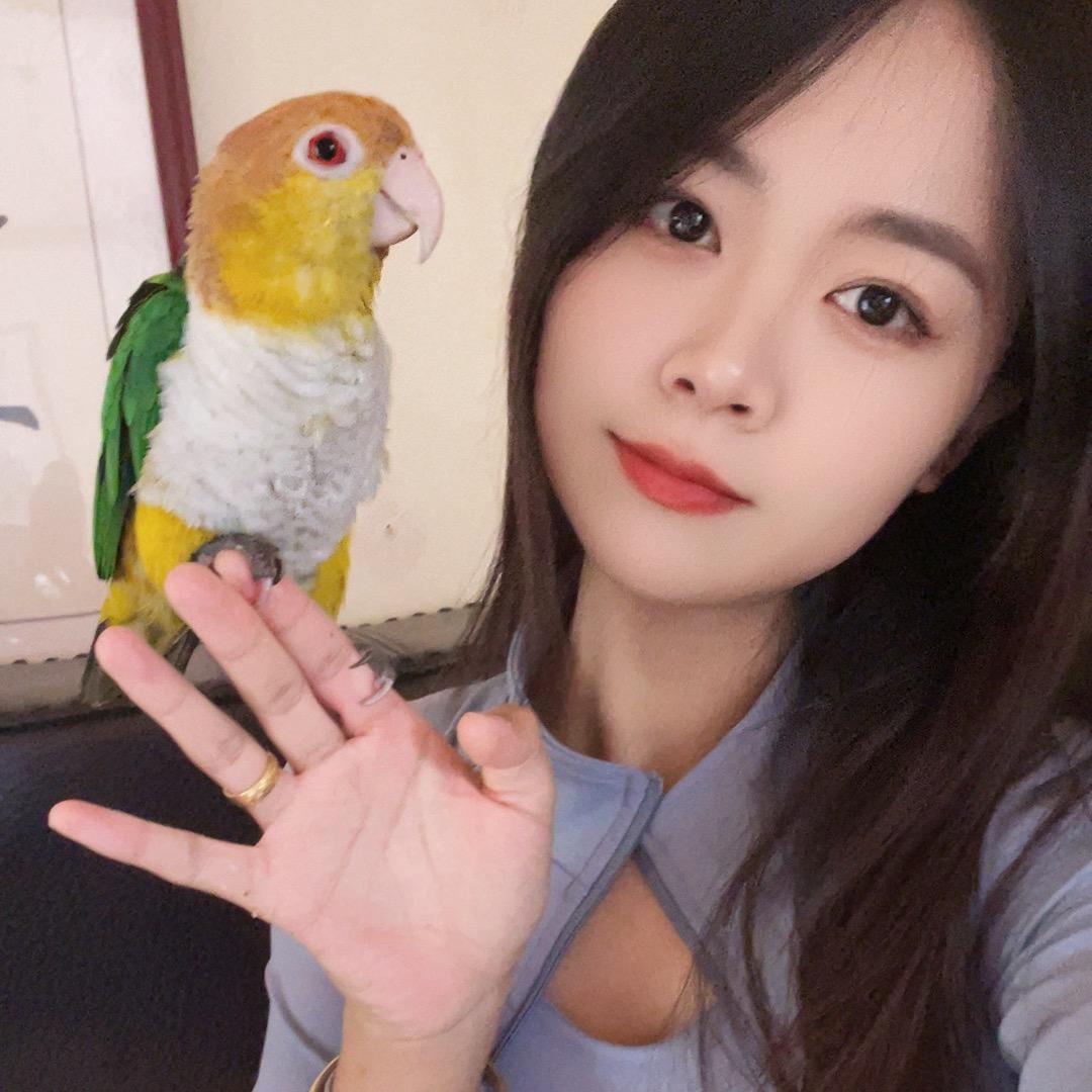 云鹦会