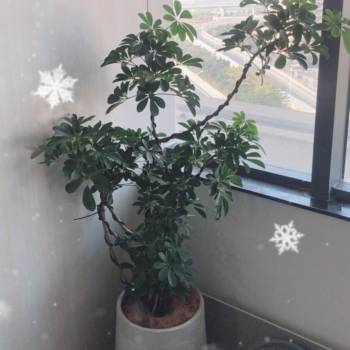 叙叙好货优选