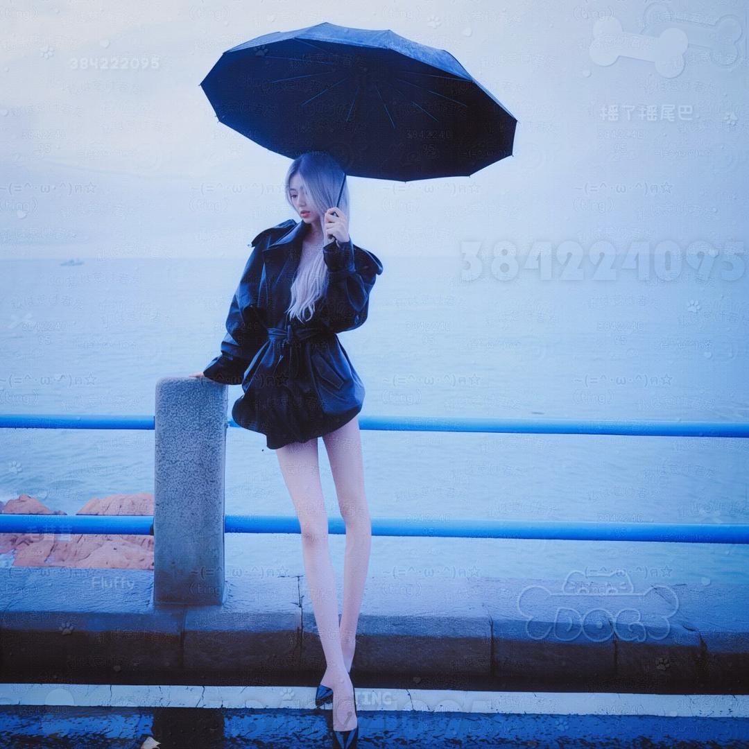 装