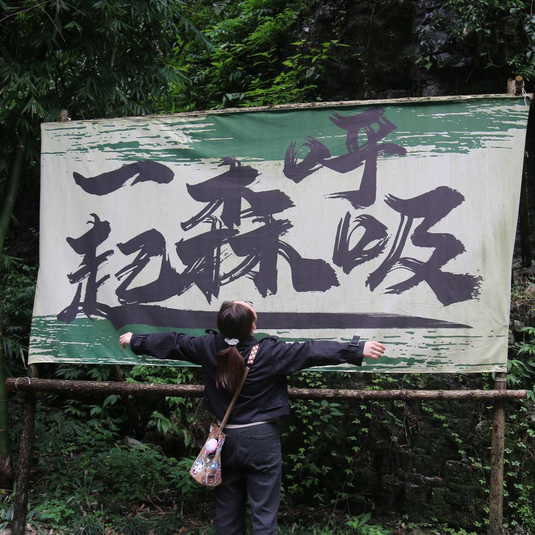 趣撸萌宠铲屎官张张