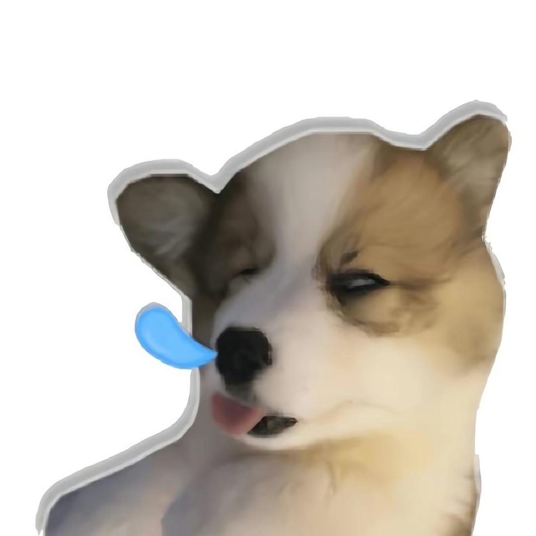 睡眠小狗💤