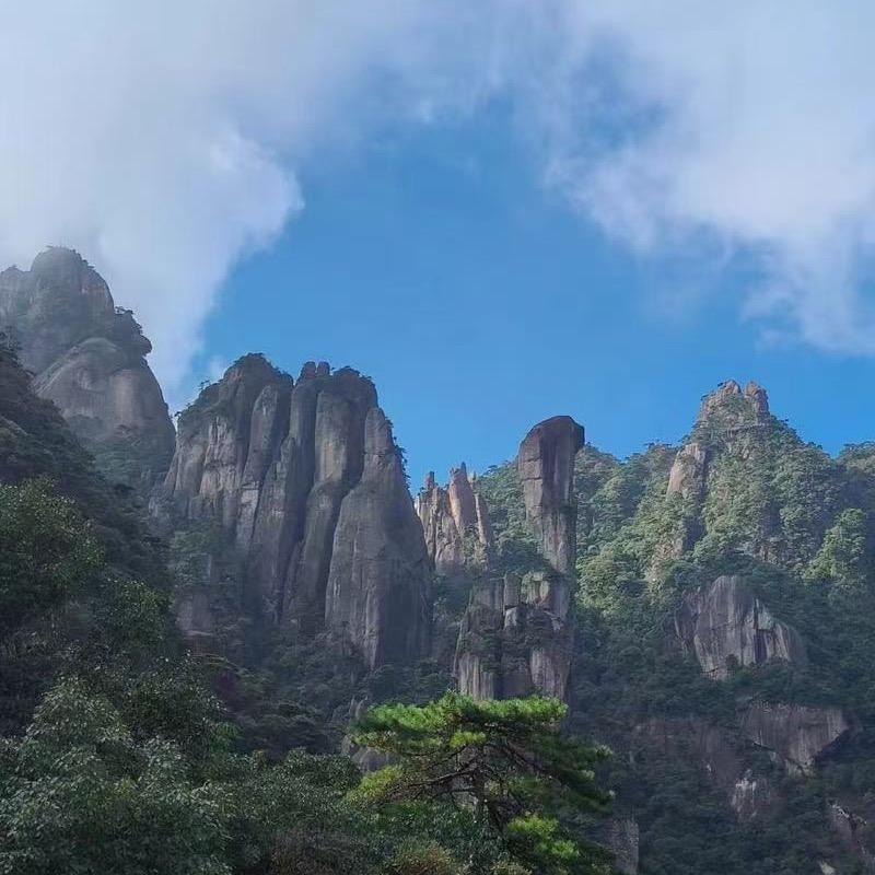 富贵😊找山货