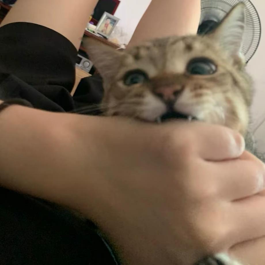你裤子穿反了