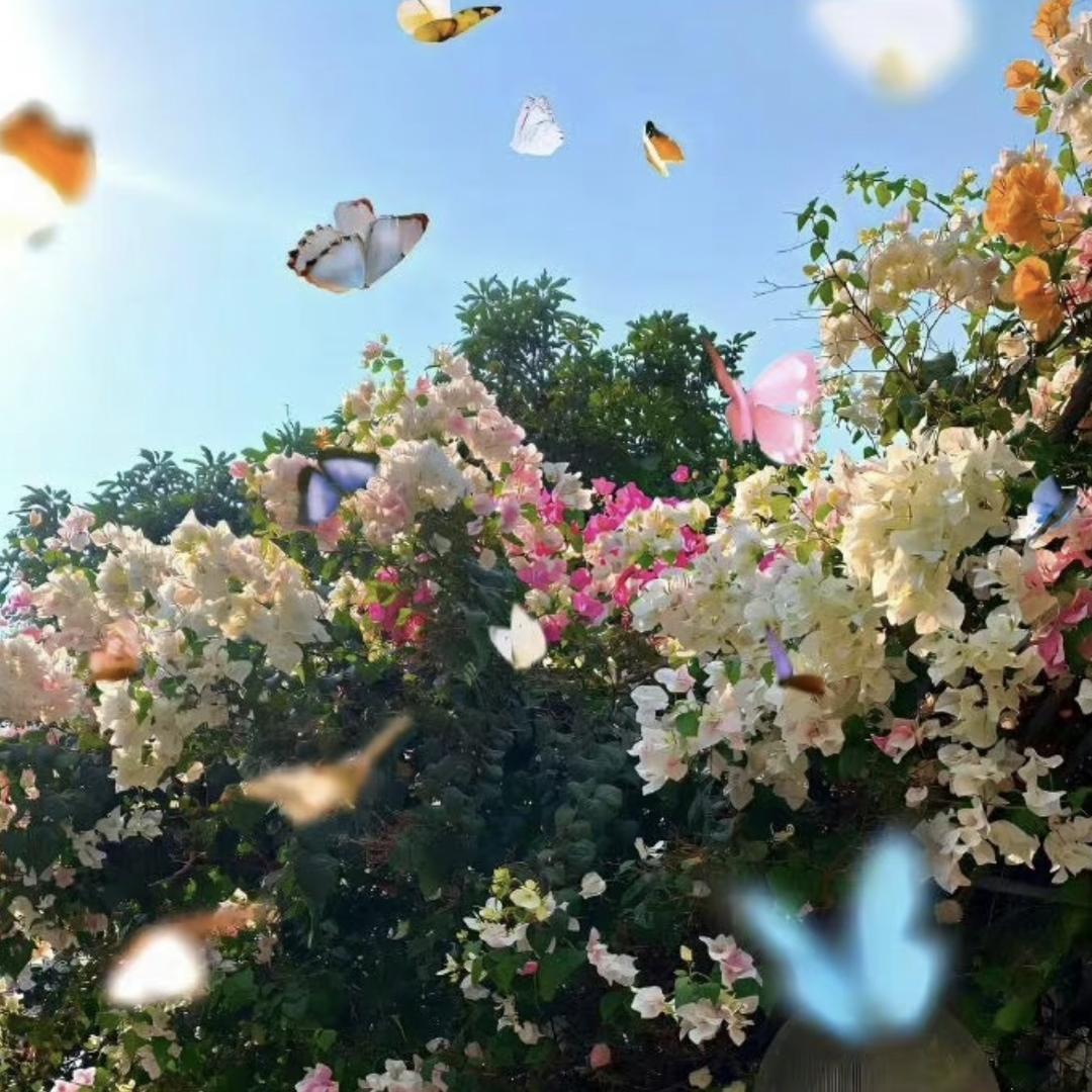 云花农货优品小铺