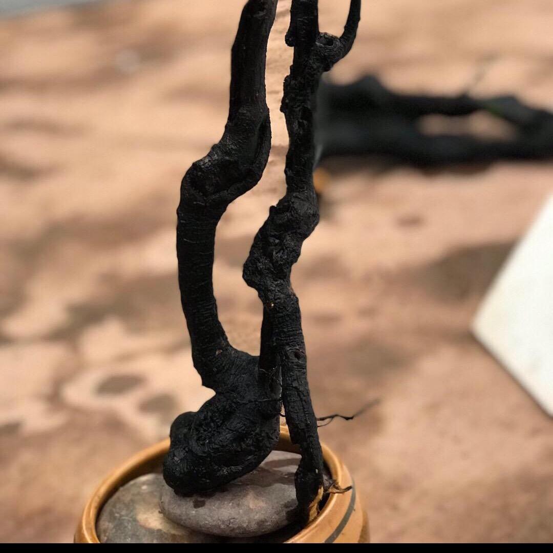 翔林金弹子