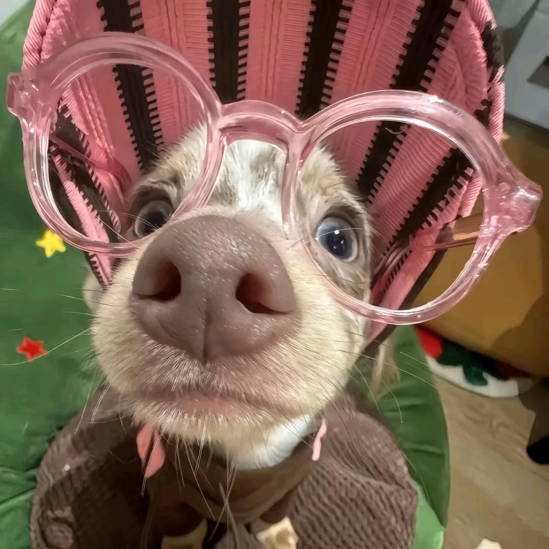 秋漫渡.💕