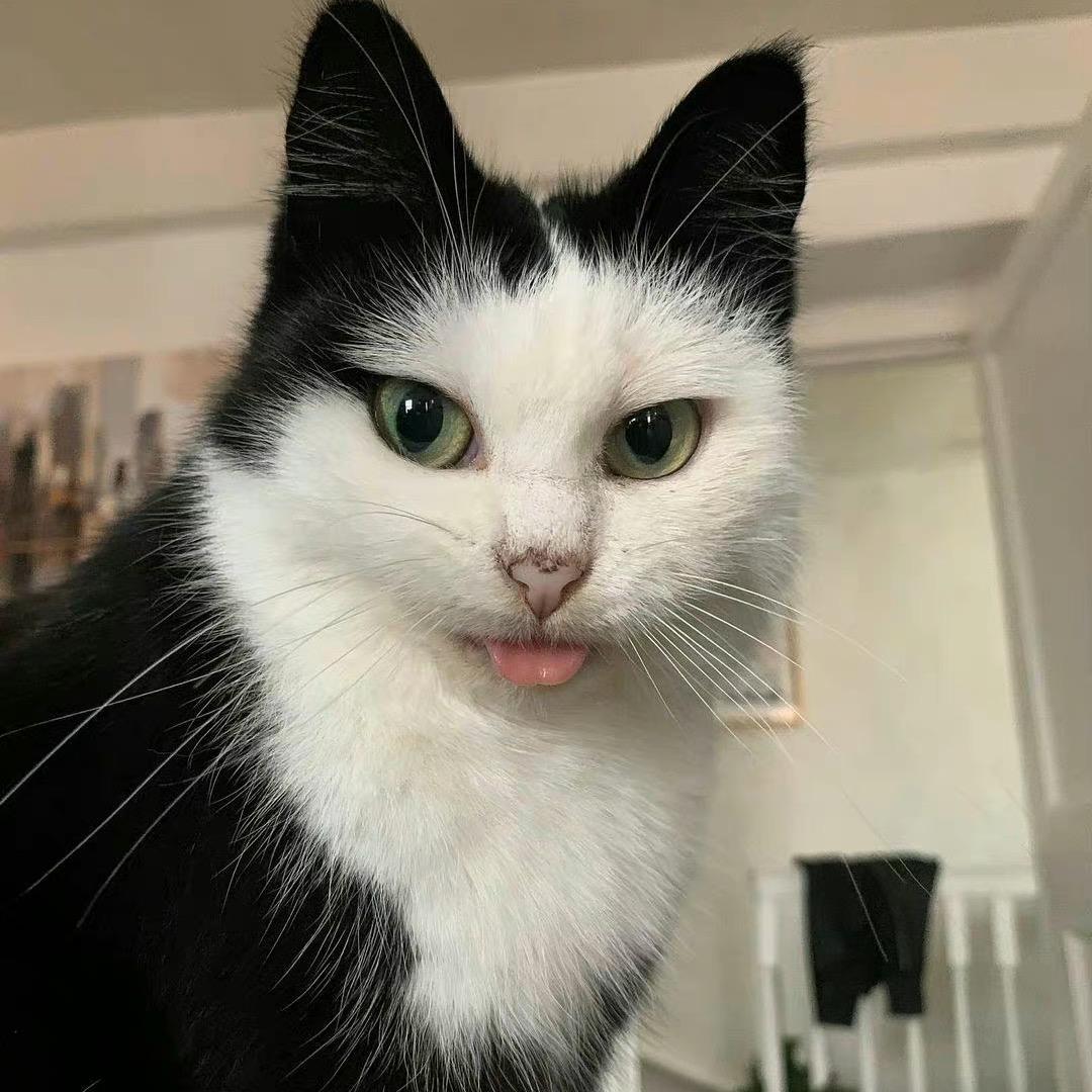 ss
