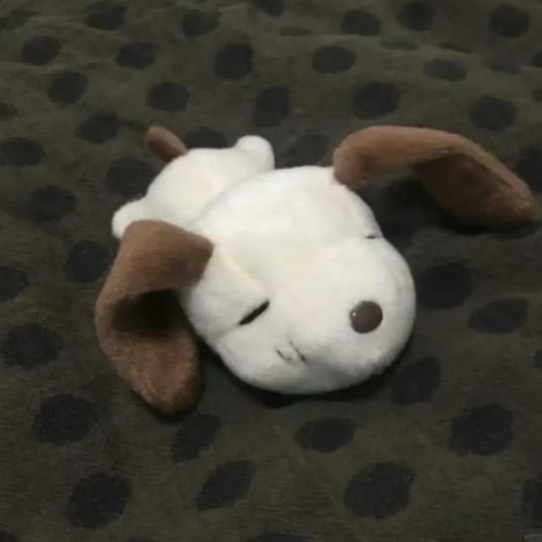 被困晕