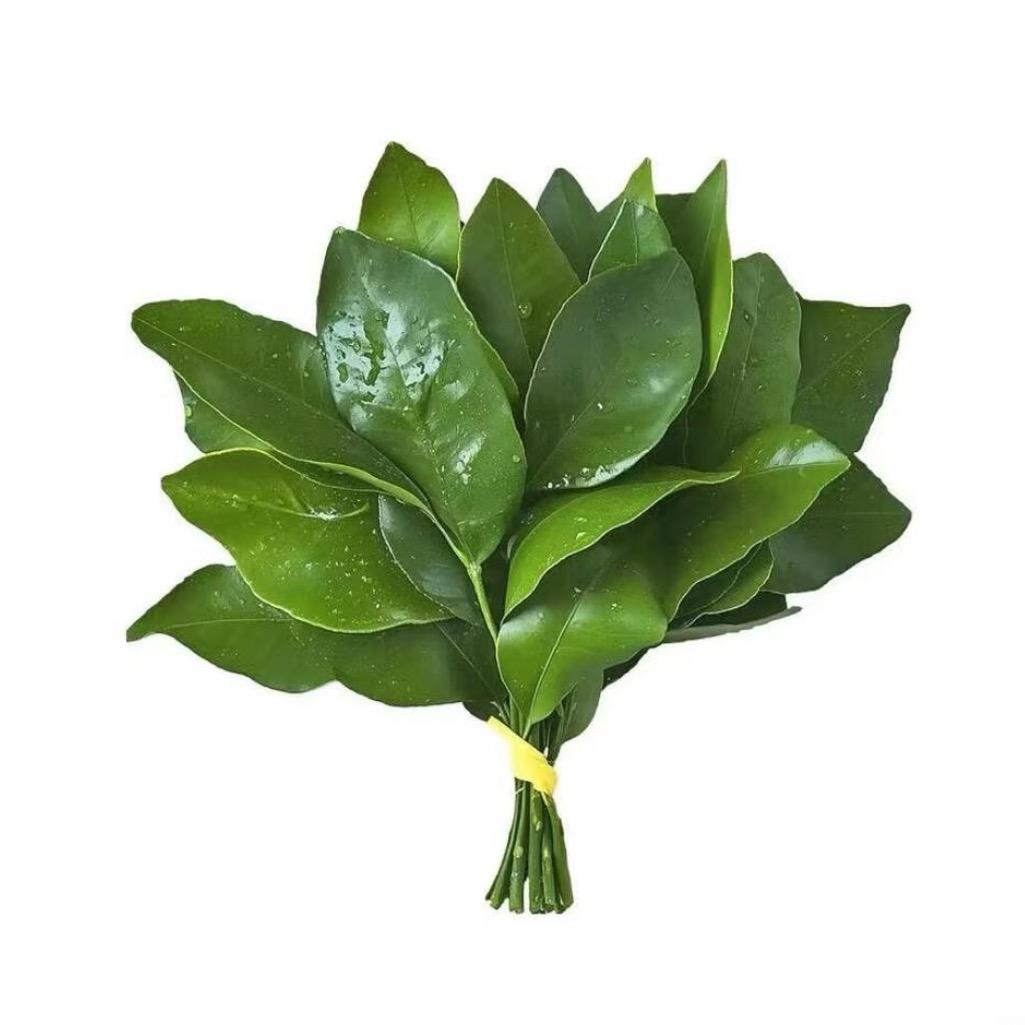 抖抖