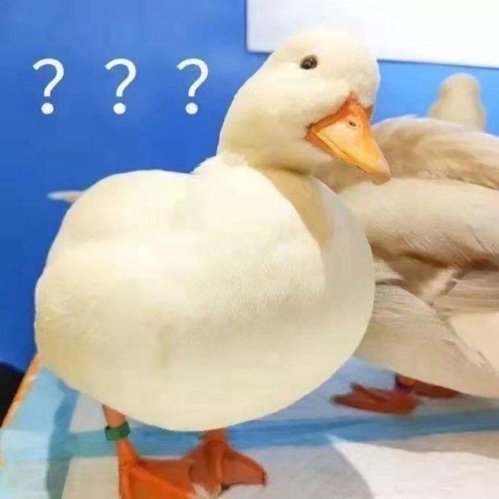 冬离鸭冬离