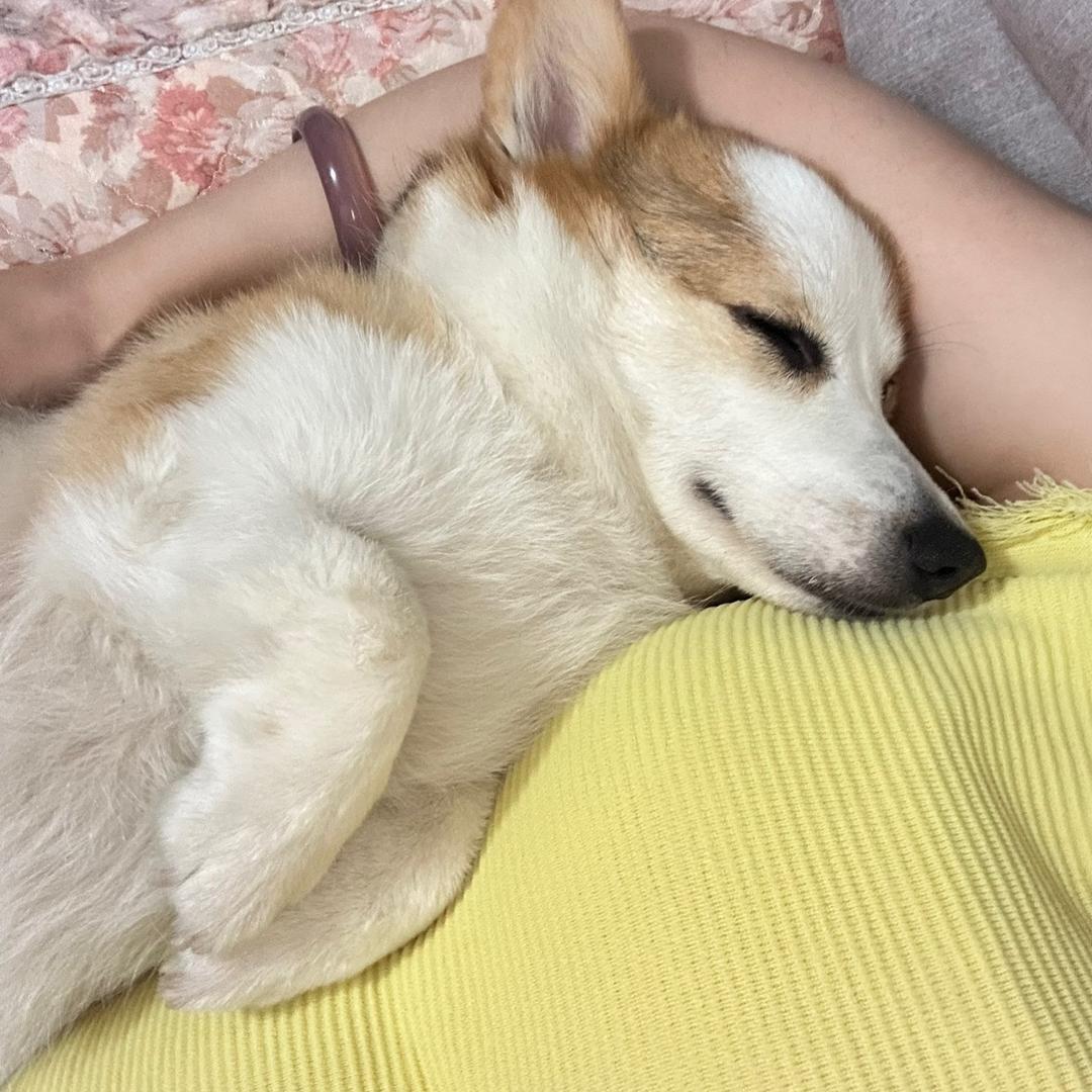 李开心
