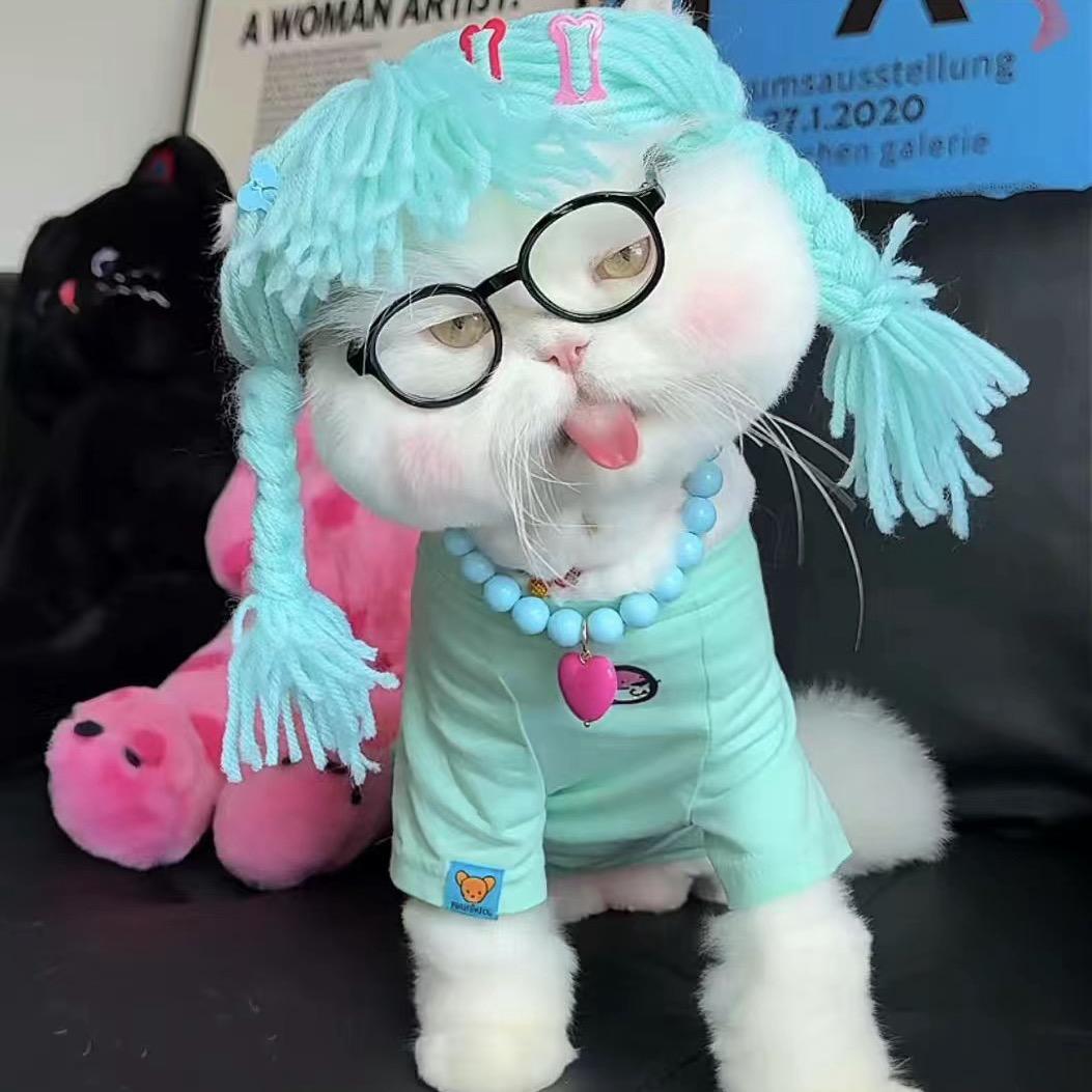 是瑶儿呀