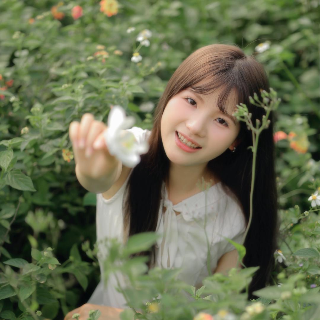 梅大大