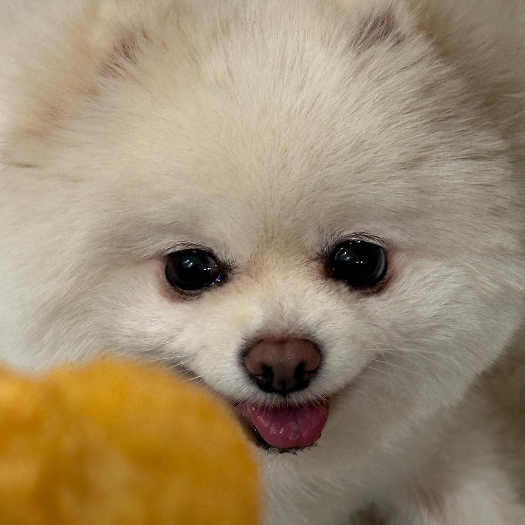 Suh