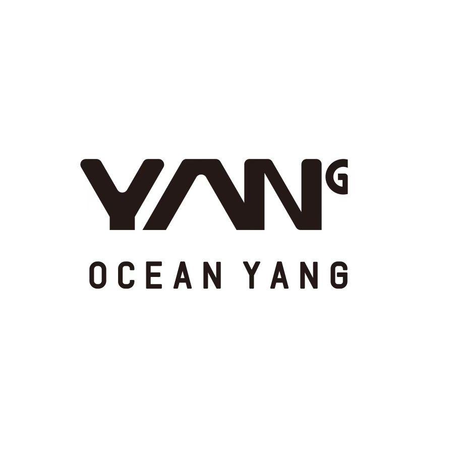 洋洋家手工女鞋