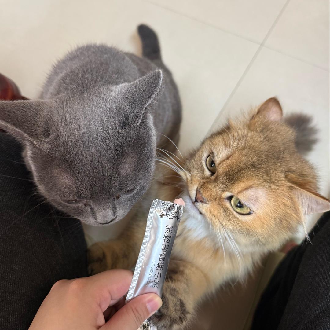 酒料大王