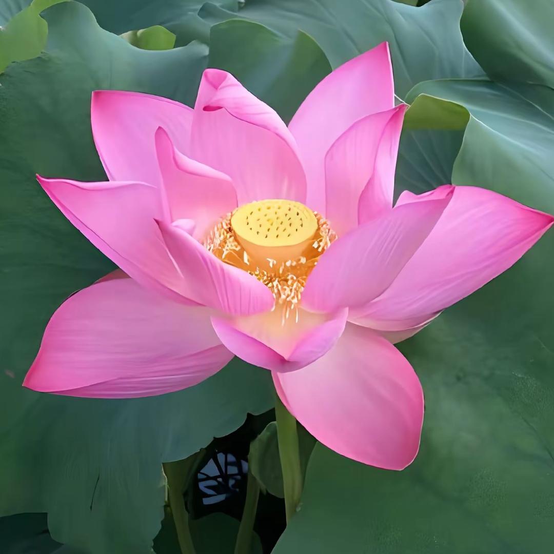 时间过去