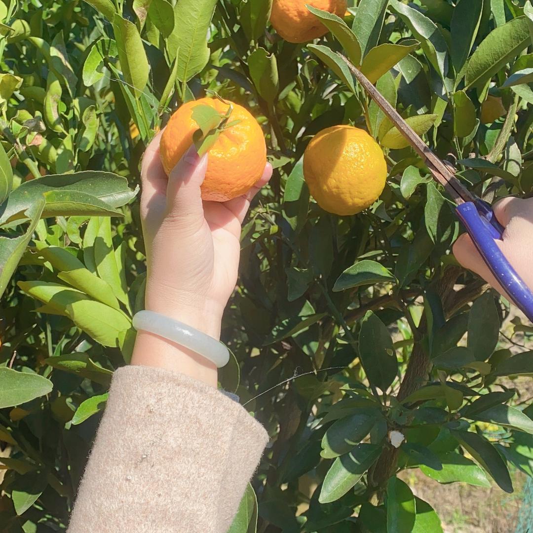 冷月太阳🌞