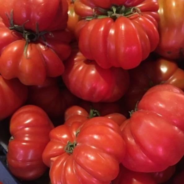 寿光市多米农场