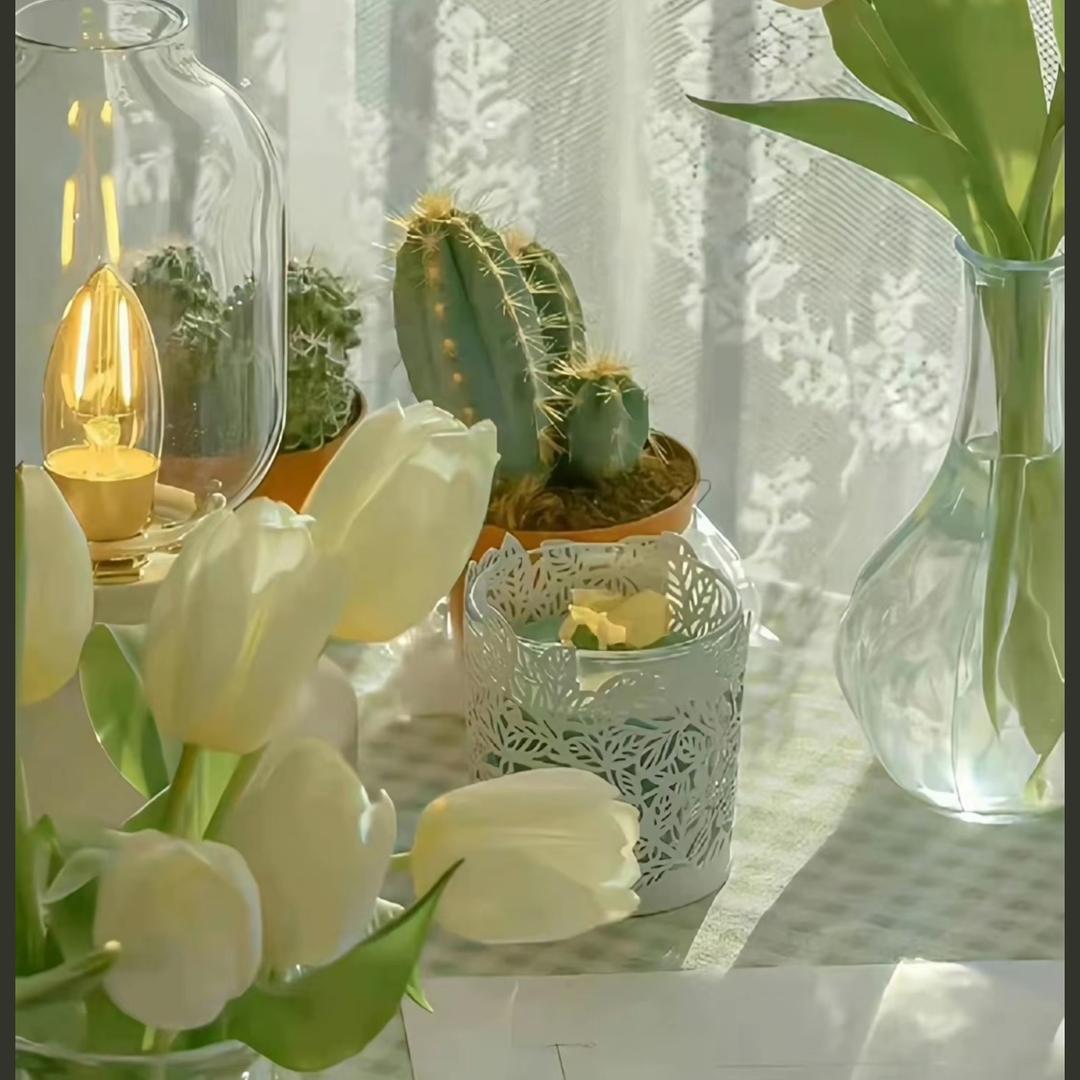可欣甄选