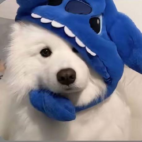 丨