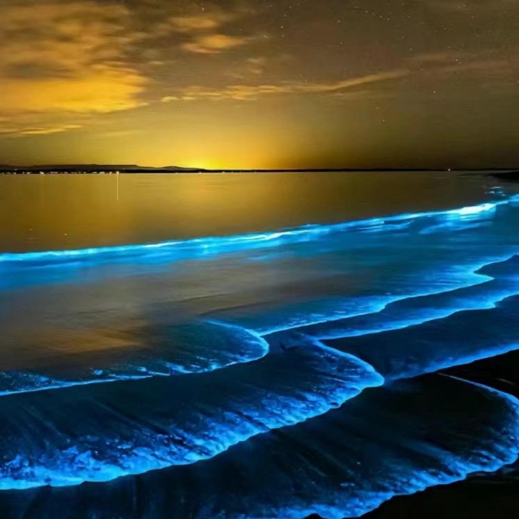 满山的猴子我腚最红