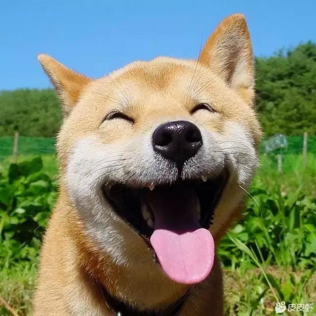 湛蓝ㅤ