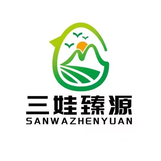 五常三娃家笨鸡蛋