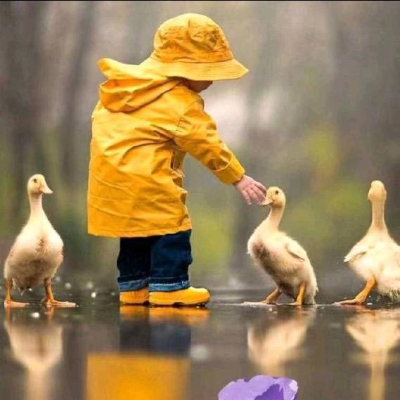 一切都好，东哥。。。。。