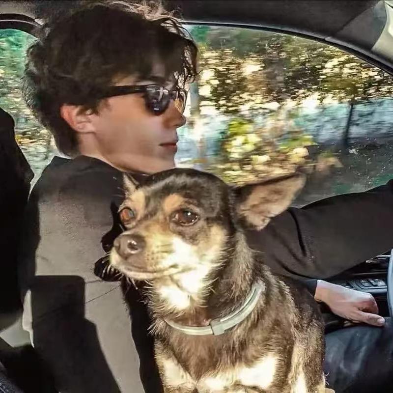 阳光彩虹🌈小白马