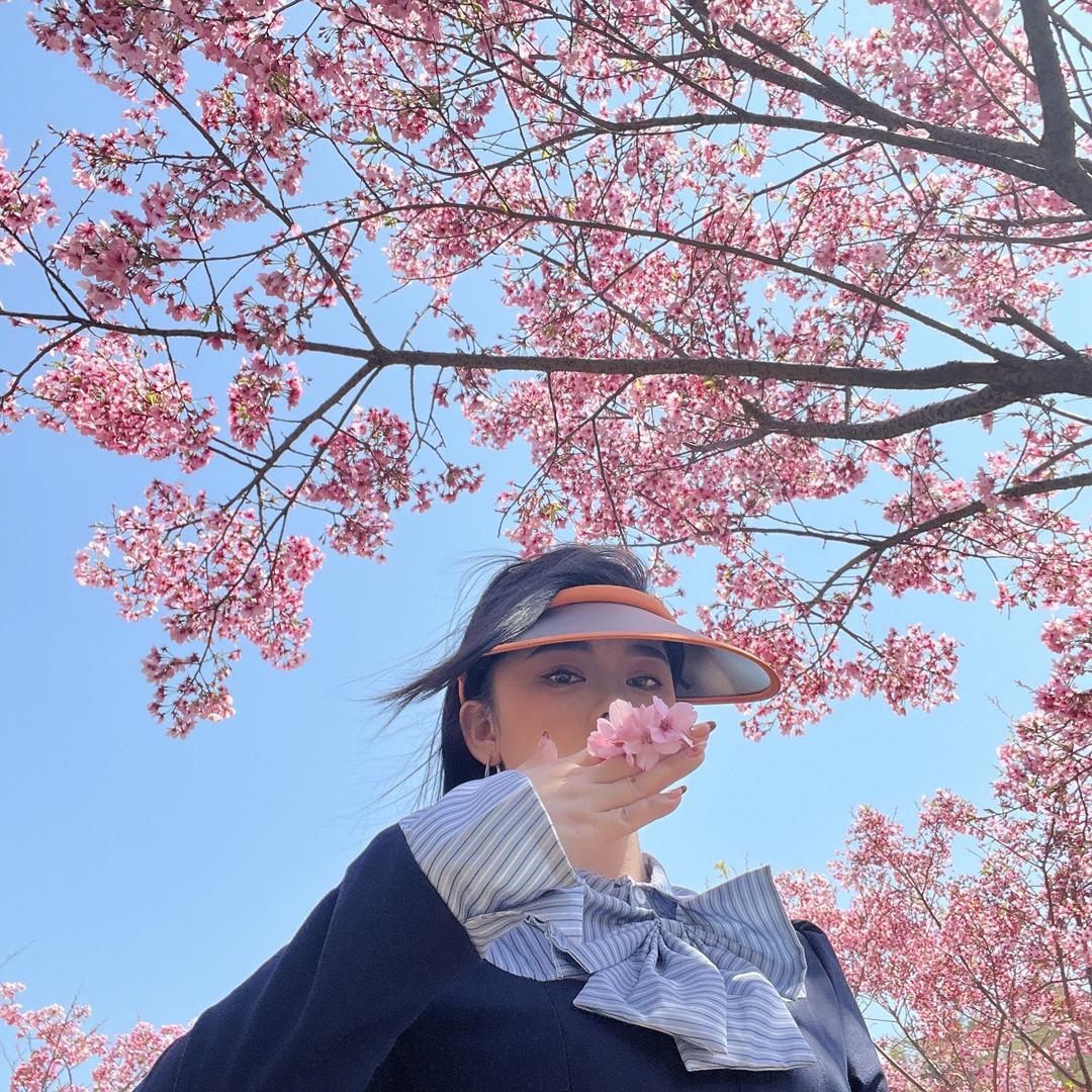 🌈锦上添花🌈