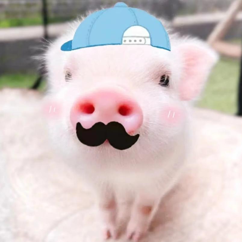 那我就宅一辈子