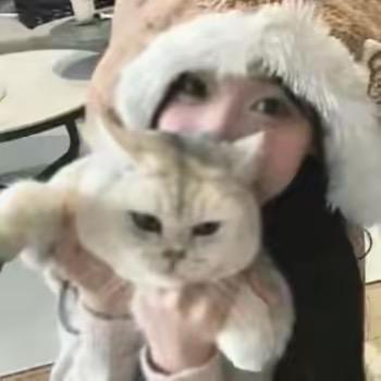 辰游-小爱