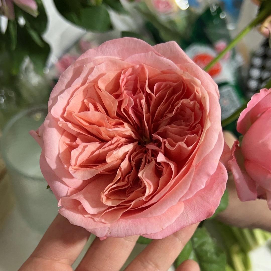 花好月圆鲜花