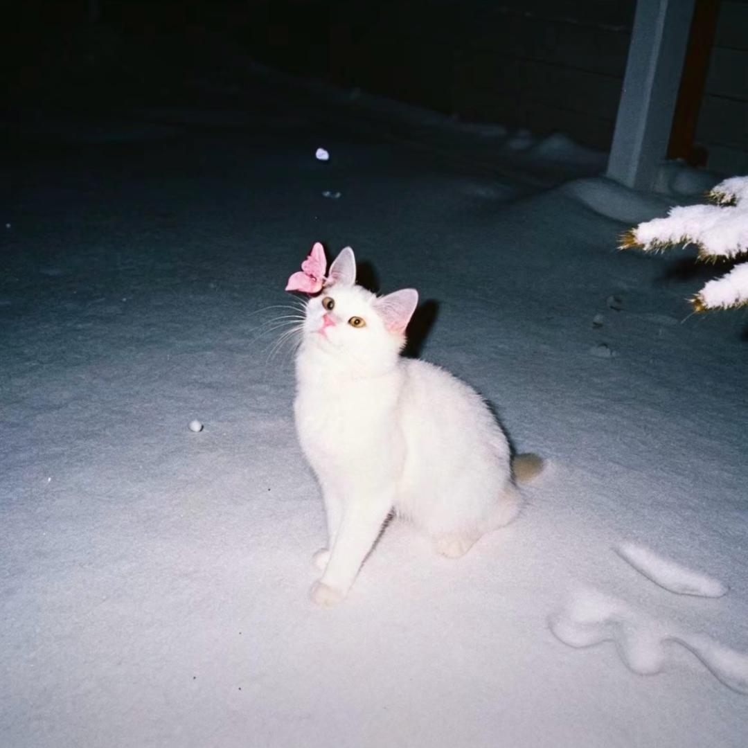 wanyeong（见到威神v版）