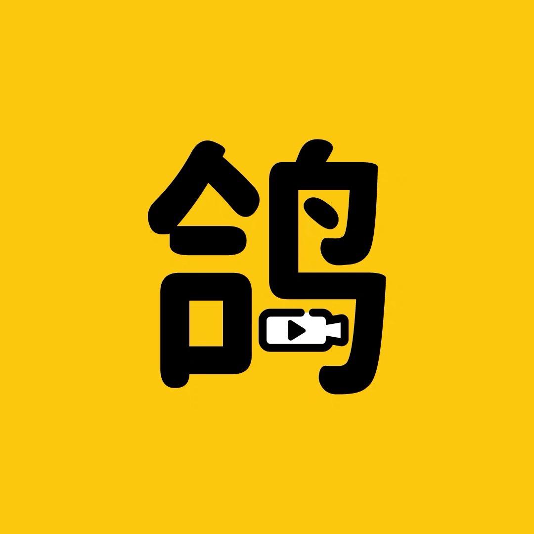 白鸽剪影