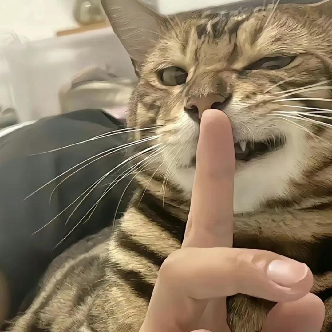 hhh