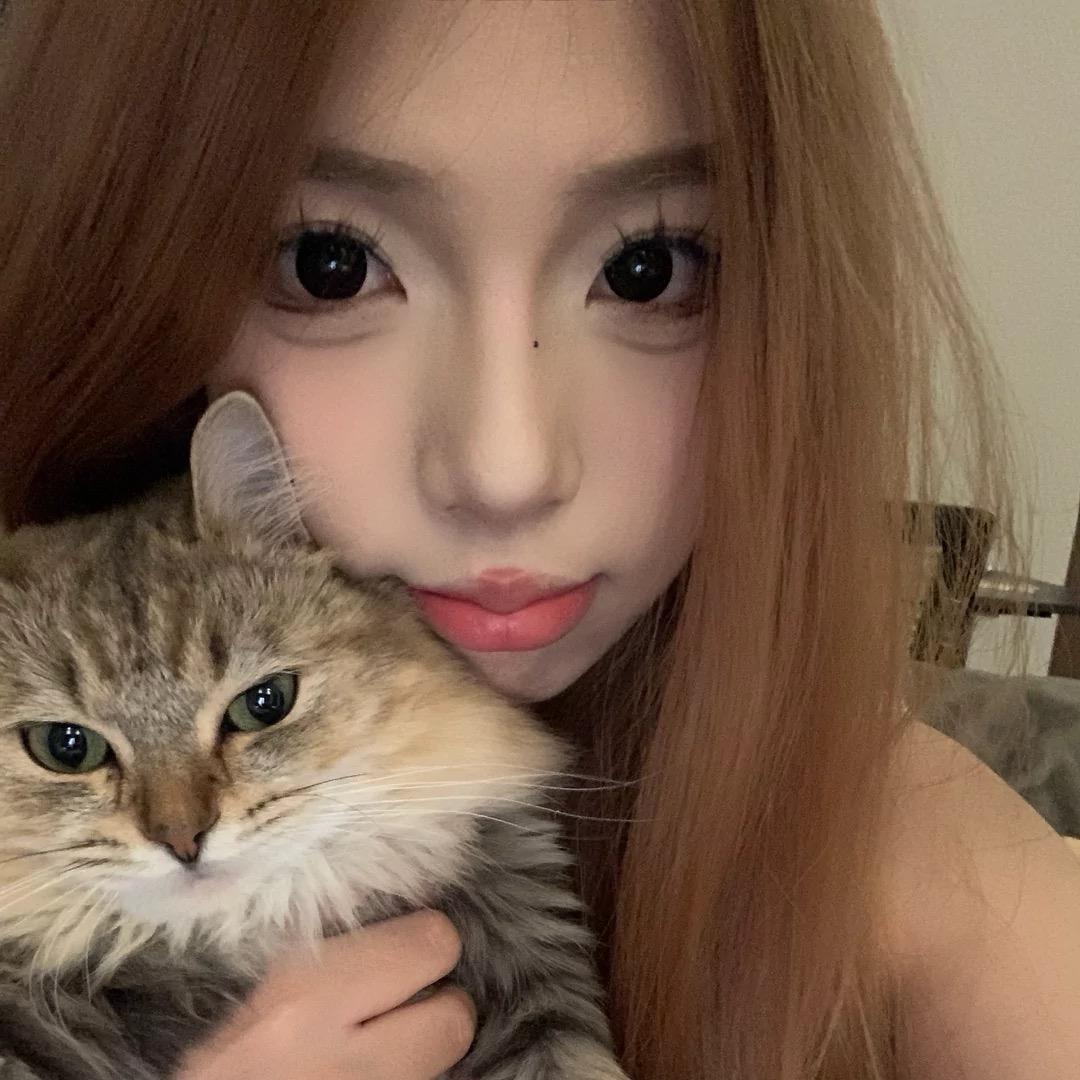 凌晨偷懒猫