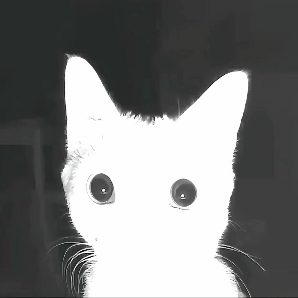花云钟入月