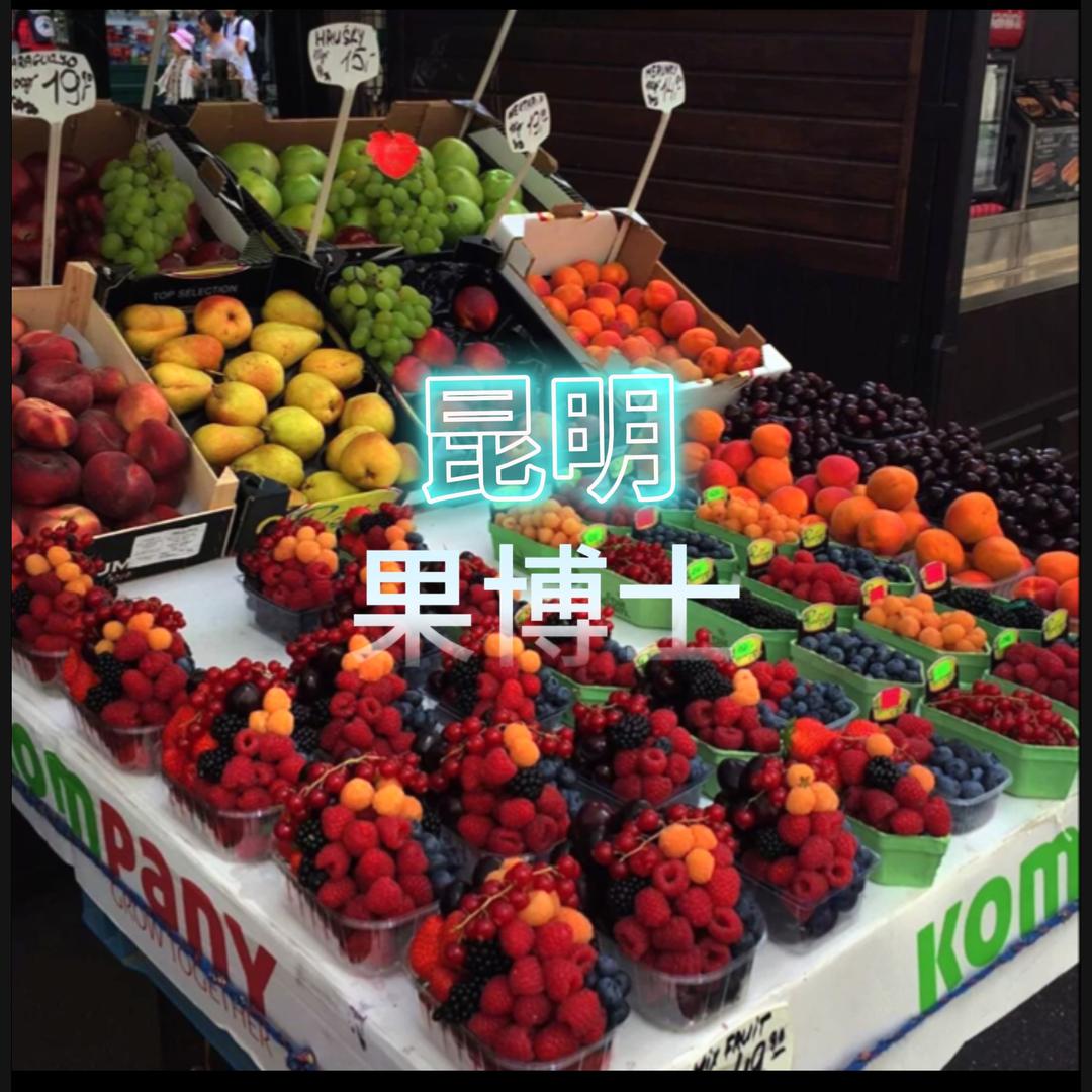 昆明果博士（小明）